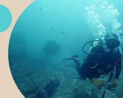 Pingo Doce promove limpezas do fundo do Mar